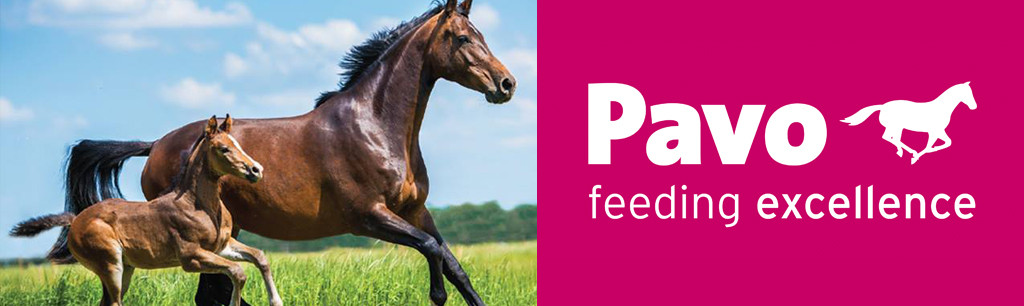 pavo logo met paard van santen