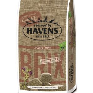 havens brix van santen