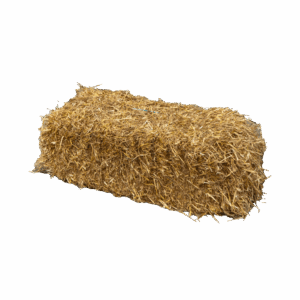Hooi van santen