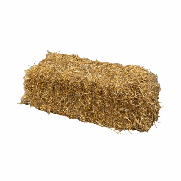 Hooi van santen