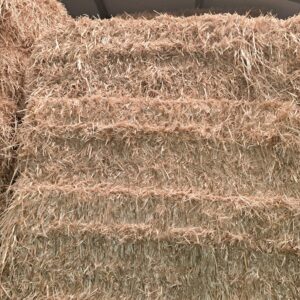 Van Santen Grote Balen Stro ca 500kg