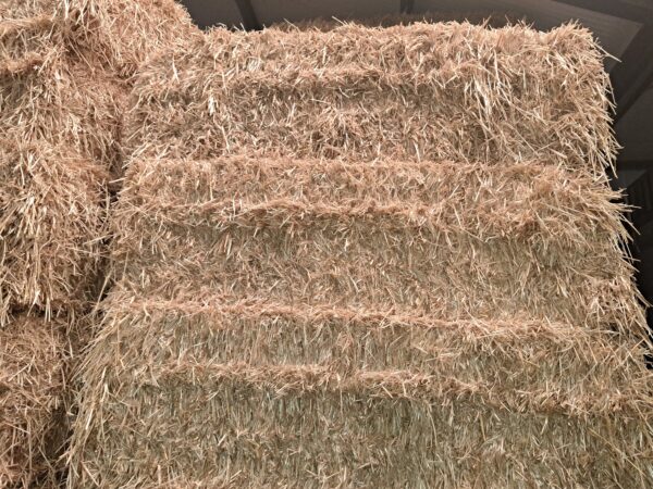 Van Santen Grote Balen Stro ca 500kg