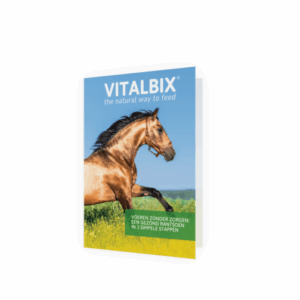 Vitalbix-A5-NL van santen
