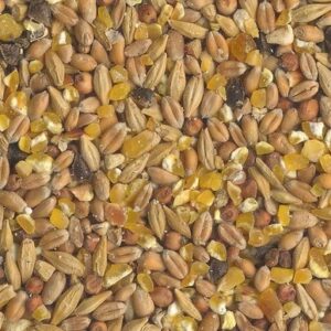 Havens scharrel graan 25 kg